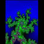 CFrak01-01v7-Baum des Phosphors.gif